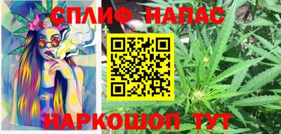 гидра Балахна