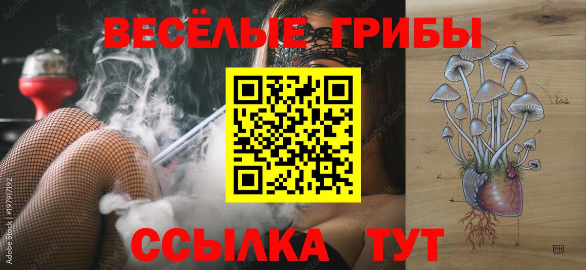 цена   Галлюциногенные грибы GOLDEN TEACHER  Вход с VPN  Долгопрудный  Галлюциногенные грибы Cubensis 